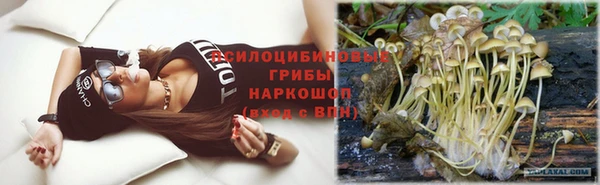 гидропоника Надым