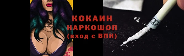 PSILOCYBIN Валуйки