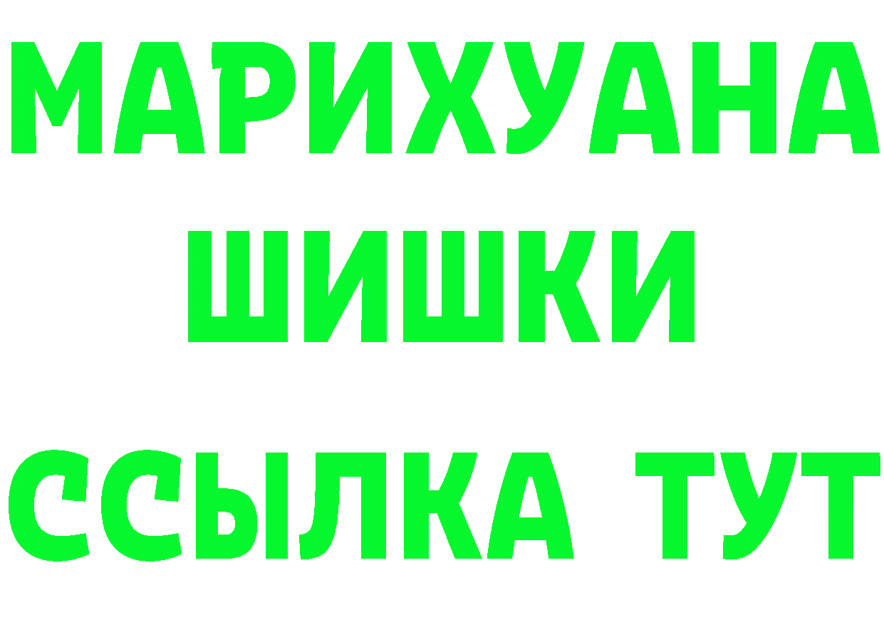 Альфа ПВП СК КРИС как войти это МЕГА Яровое