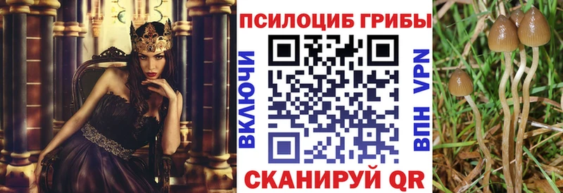 Галлюциногенные грибы Magic Shrooms Яровое